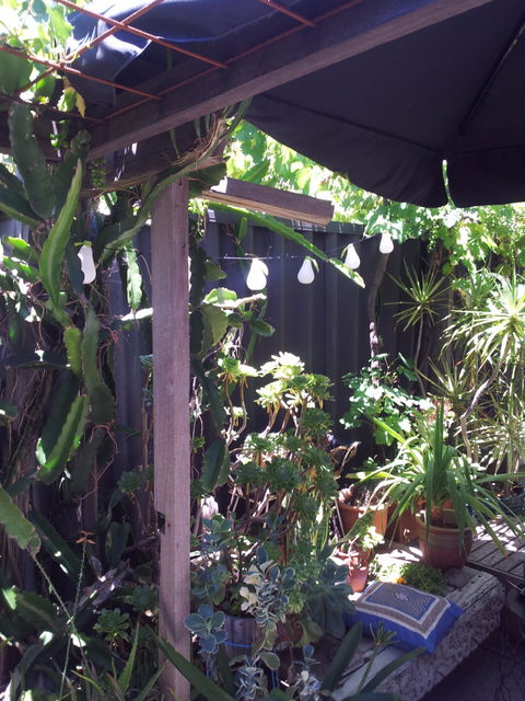 Little Olive Leaf Cafe - Suburb Australia 1