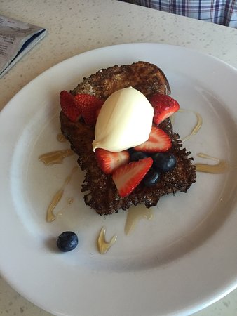 Whistling Kite - Suburb Australia 0