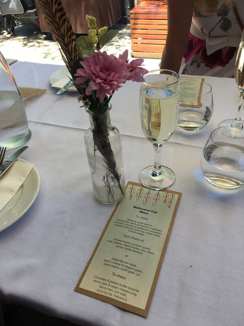 Whistling Kite - Suburb Australia 2