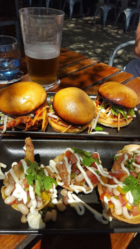 Whistling Kite - Suburb Australia 3