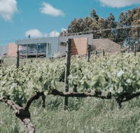 Green Door Winery  Cafe - Suburb Australia