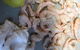 Pranzo - thumb 6