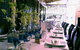 Parisi's Restaurant - thumb 9