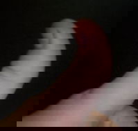 The Roast N Grill Cafe - Suburb Australia