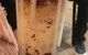 St Louis House Of Fine Ice Cream And Dessert - thumb 1