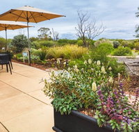 Arid Lands Botanic Garden Cafe - Suburb Australia