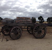 Emu Bay Lavender - Suburb Australia