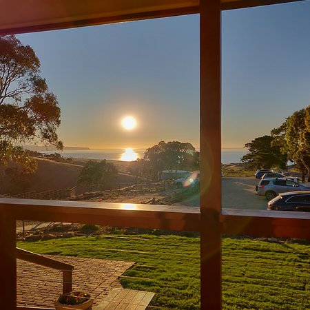 Forktree Brewing - Suburb Australia 0