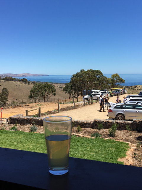 Forktree Brewing - Suburb Australia 4