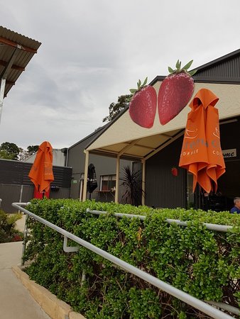 Green Valley Strawberries - Suburb Australia 0