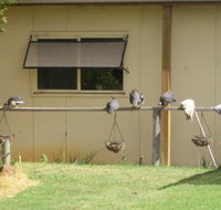 Sandy Grove - Suburb Australia