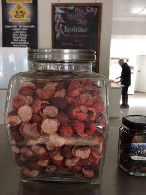 Copley Bush Bakery And Quandong Cafe - Suburb Australia 4