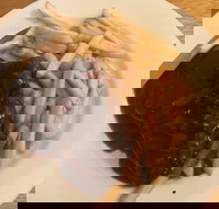 Mount Pleasant Hotel Motel - Suburb Australia