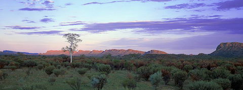 Povey Stirk Lawyers & Notaries - Suburb Australia 0