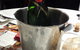 Cafe Madrid - thumb 0