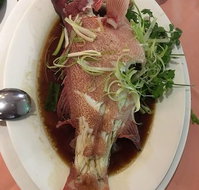 Dragon Boat Chinese - Suburb Australia
