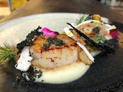 Business in Cairns QLD Suburb Australia Suburb Australia