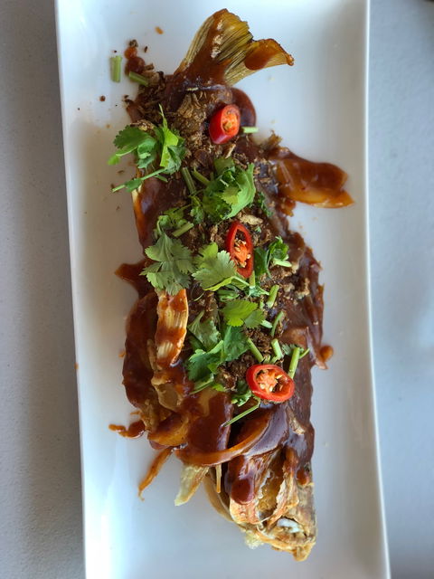 Tia's Cafe In Cairns - Suburb Australia 2