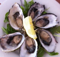 Noosa Yacht and Rowing Club - Suburb Australia