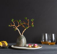 The Long Apron - Suburb Australia