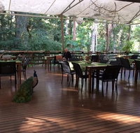 The Restaurant at Cedar Park - Suburb Australia