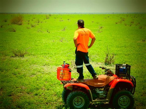 Triple P Contracting - Suburb Australia 1