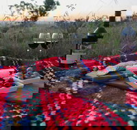 Bunnyconnellen Olive Grove  Vineyard - Suburb Australia