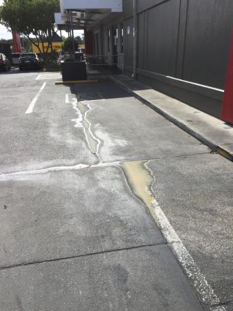 Nerang QLD Suburb Australia