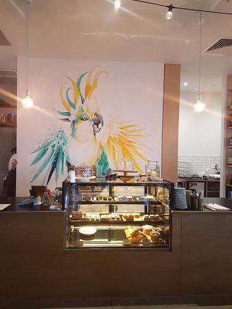 Warralily Cockatoo - Suburb Australia 0