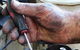 Illawarra Truck & Car Centre - thumb 4