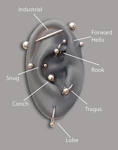 Body Ear Piercing Coffs Harbour NSW Suburb Australia