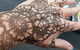 Her Beauty And Nails - thumb 3