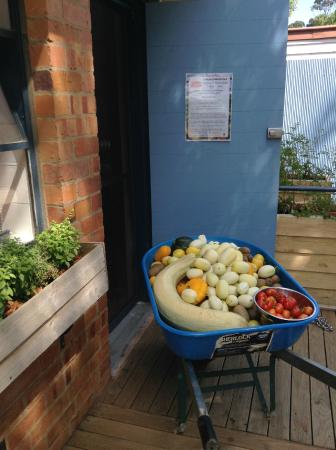 Jacican - Suburb Australia 0