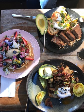 Celsius Coffee Co. - Suburb Australia 0