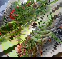 DeliLicious Bundanoon - Suburb Australia