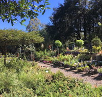 Yatte Yattah Nursery Cafe - Suburb Australia