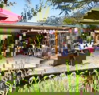 Bamboo Buddha - Suburb Australia