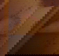 Domino's Pizza - Suburb Australia