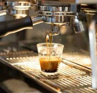 Black Bear Cafe - Suburb Australia