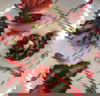 Forbes Golf and Sportsmans Hotel - Suburb Australia