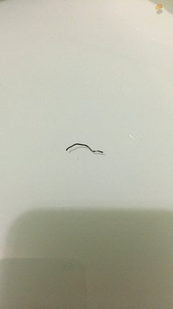 Jimmy's Palace - Suburb Australia 0