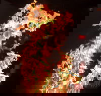 Shin Sen Teppanyaki Restaurant - Suburb Australia