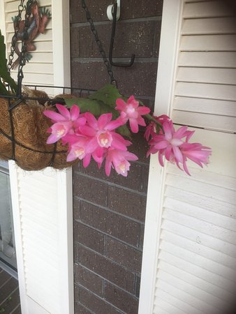 Tingha NSW Suburb Australia