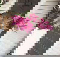 Tingha Sports Recreation Club - Suburb Australia