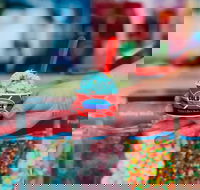 Cold Rock Ice Creamery - Forest Lake - Suburb Australia