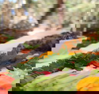 Hanson Bay Wildlife Sanctuary Cafe - Suburb Australia