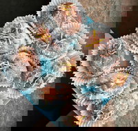 Baker D Chirico Carlton - Carlton - Suburb Australia