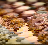 Koko Black - Carlton - Suburb Australia