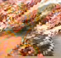 Pizza Rustica - Suburb Australia