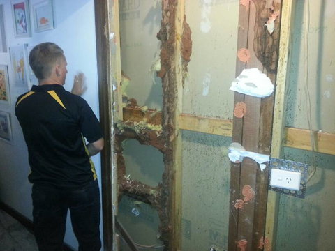 Red Centre Pest Control - Suburb Australia 0